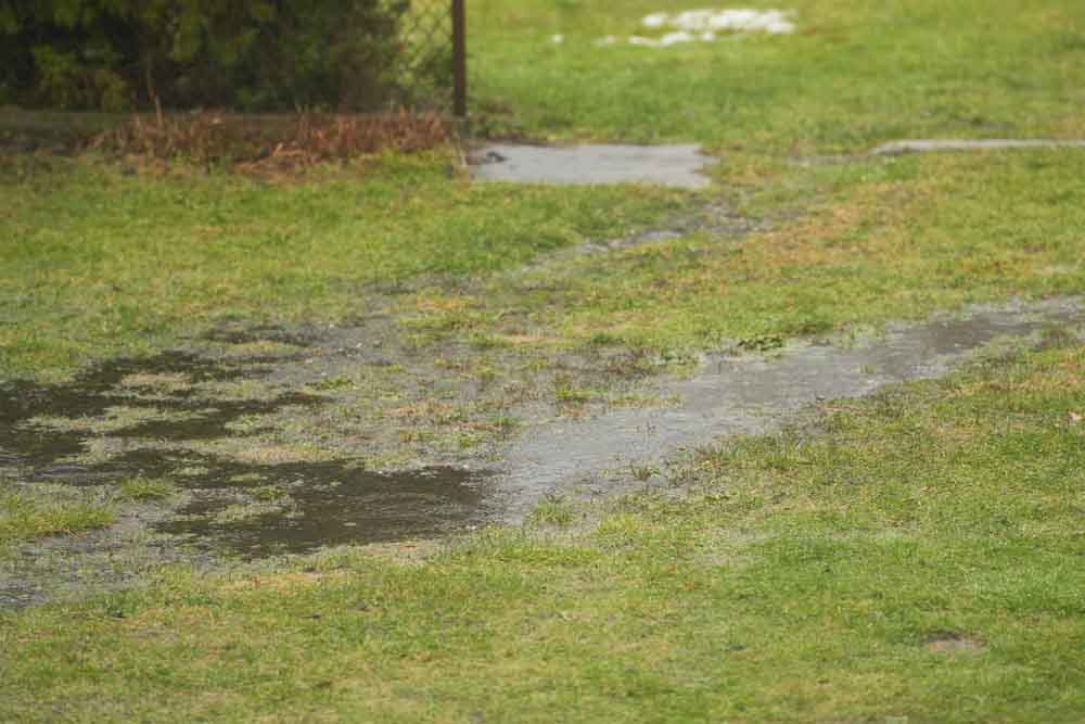 flooded or muddy lawn or garden